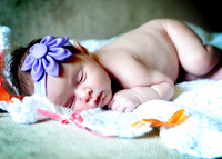 Lucy - 2013 Newborn